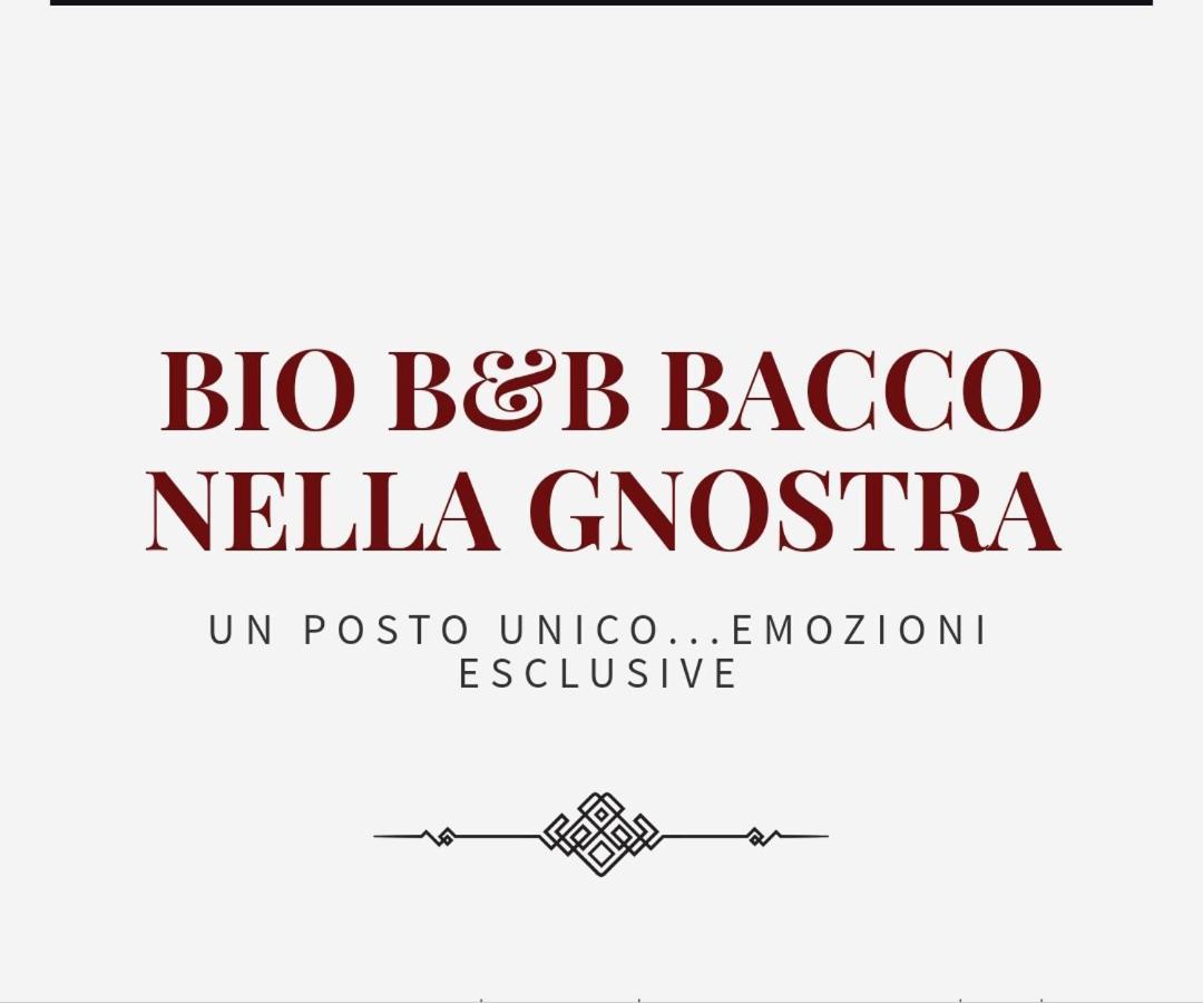 Bio B&B Bacco Nella Gnostra Altamura Eksteriør billede